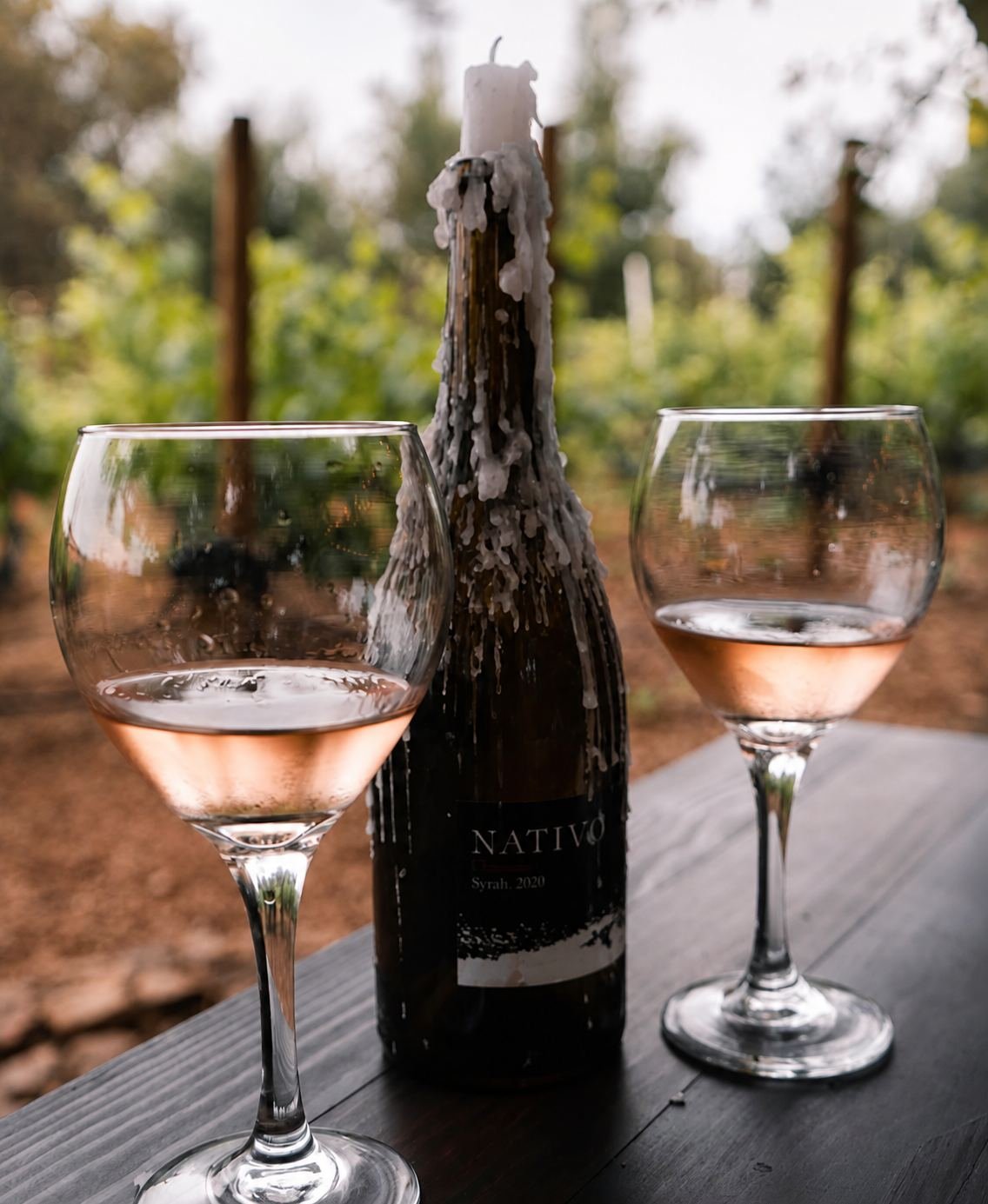 Botella y copas de vino rosado Nativo frente al viñedo