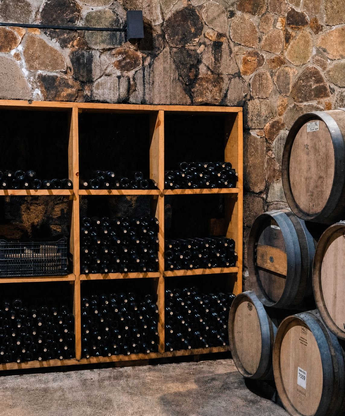 Cava de Nativo con botellas y barricas de madera